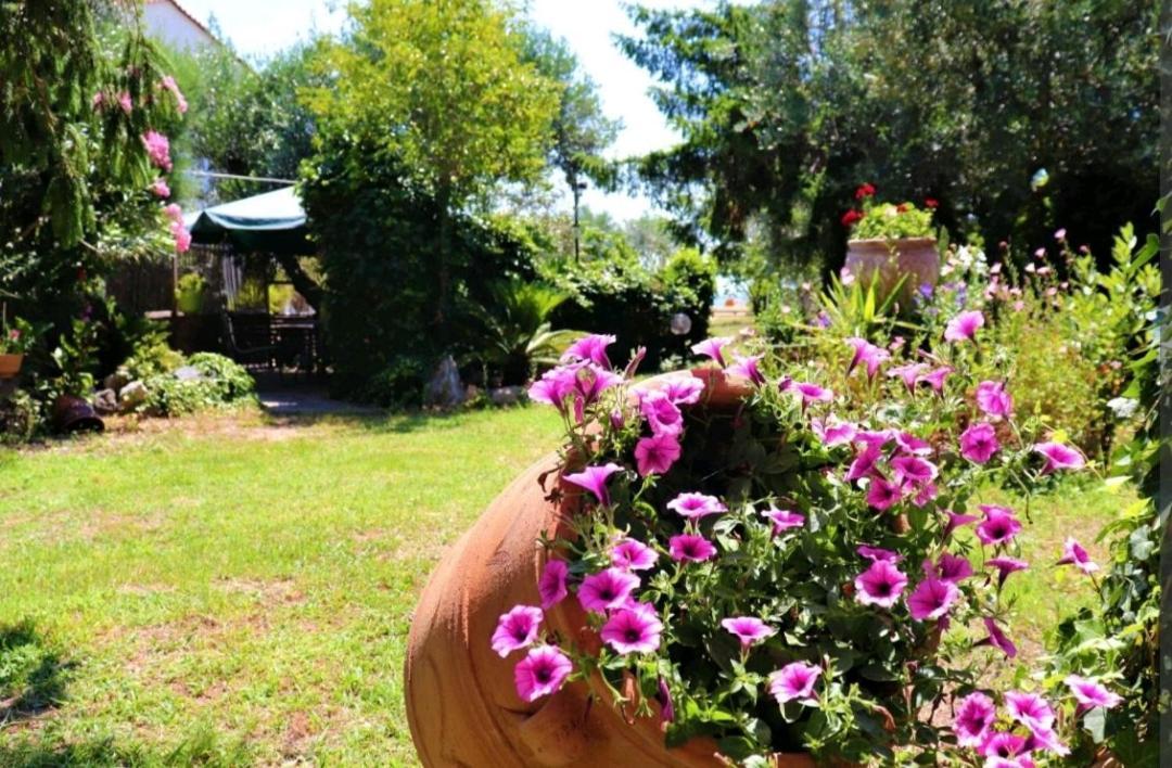 House By The Sea 2 Appartement Nea Iraklitsa Buitenkant foto